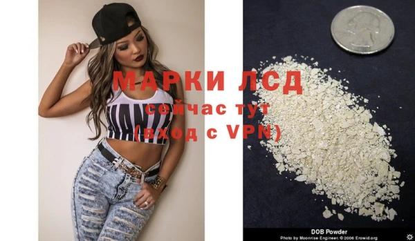 сатива Новодвинск