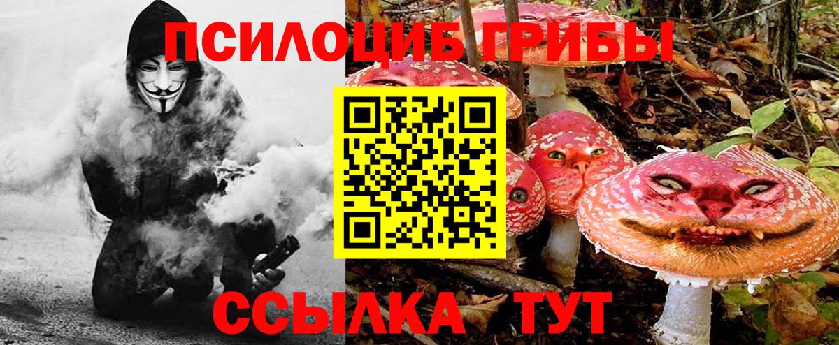 Псилоцибиновые грибы Magic Shrooms Татарск