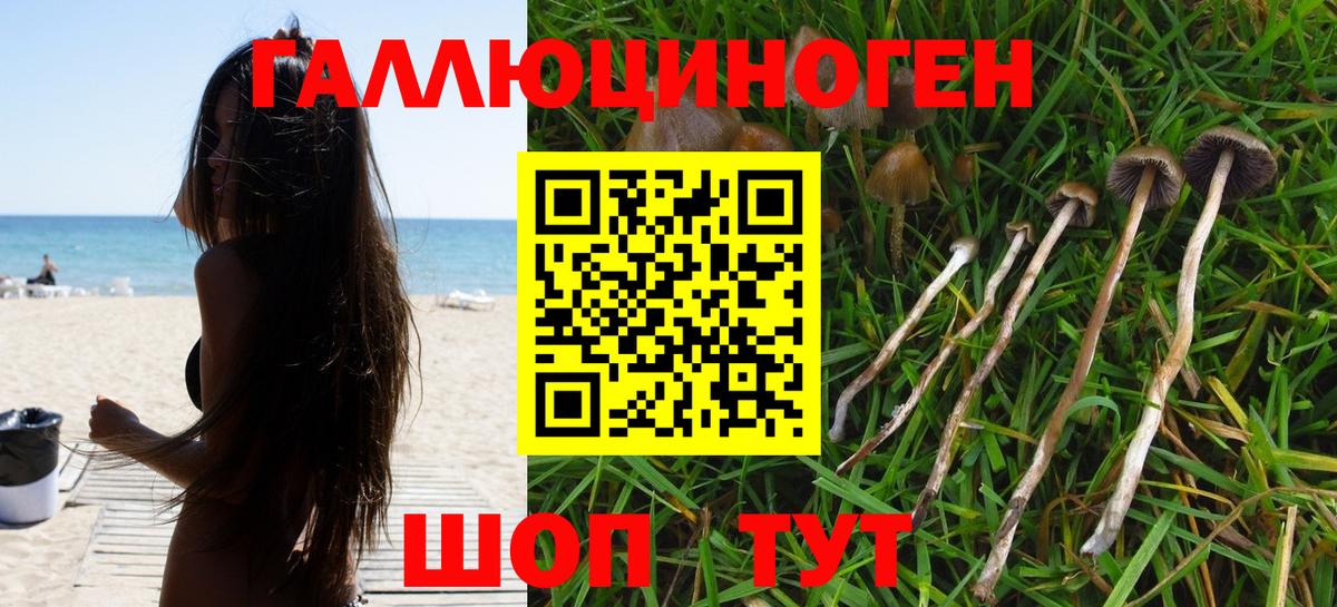 Галлюциногенные грибы Cubensis  Вход с VPN  Татарск  Псилоцибиновые грибы GOLDEN TEACHER 