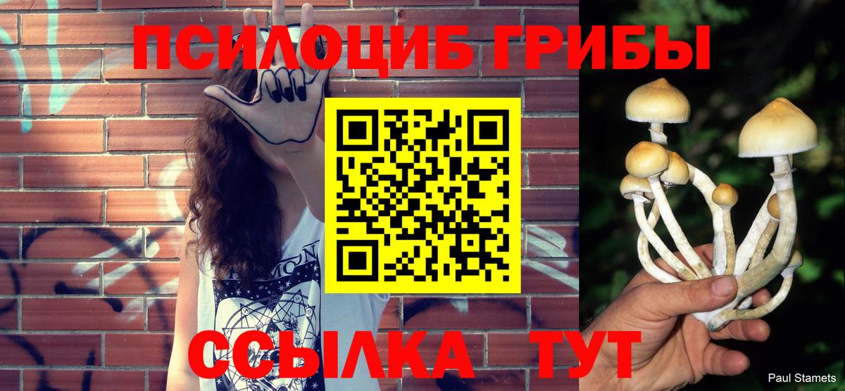 Галлюциногенные грибы MAGIC MUSHROOMS Татарск