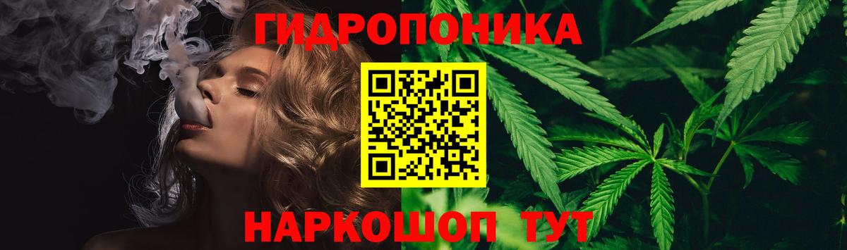 Канабис ГИДРОПОН  Бошки марихуана планчик  Шишки марихуана индика  Татарск 